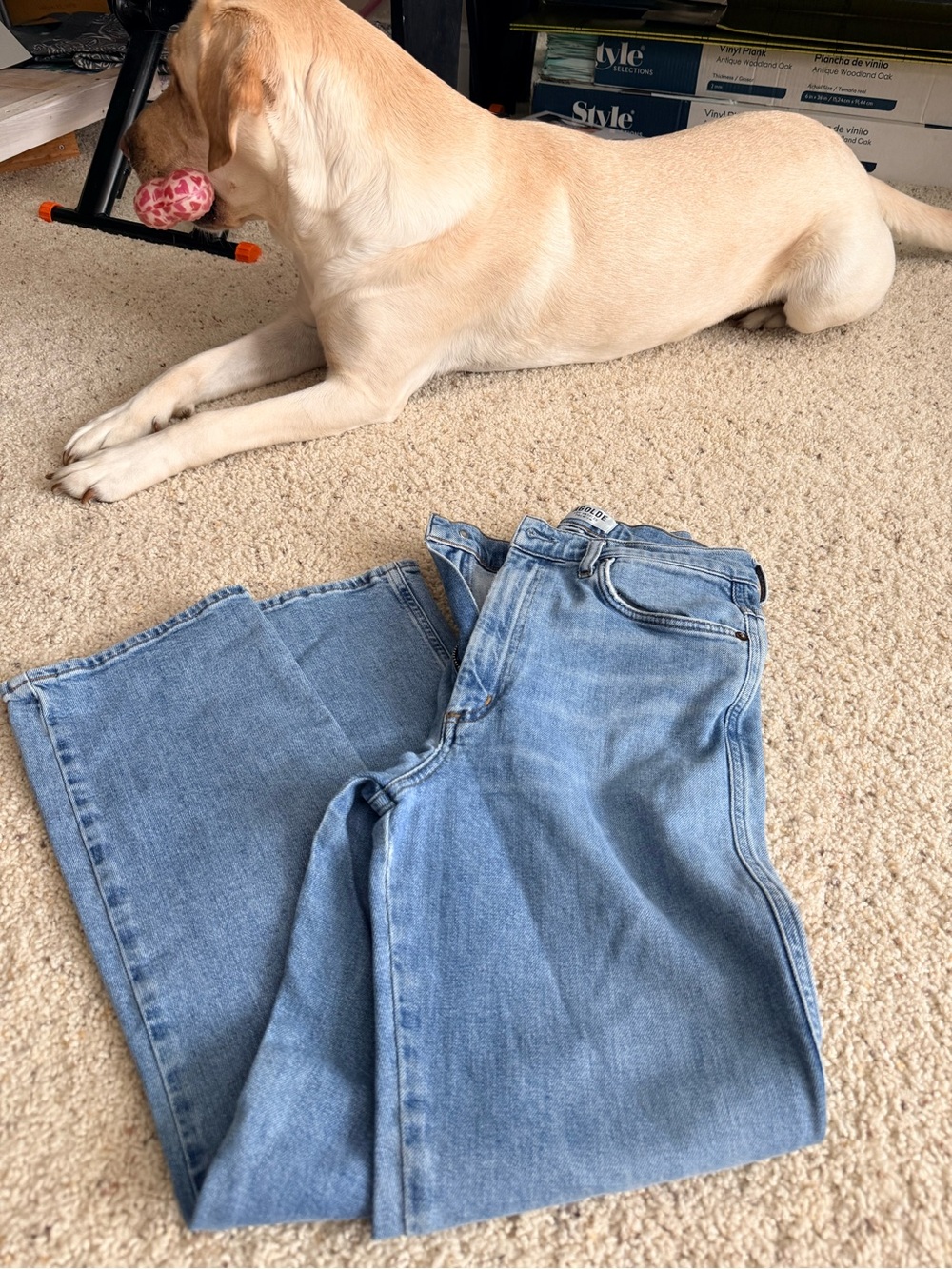 AGOLDE Light Blue Straight-Leg High-Rise Jeans